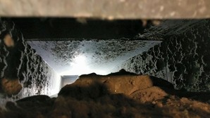 Before & After Duct Cleaning in Webb City, MO